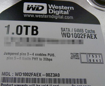 WD1002FAEX
